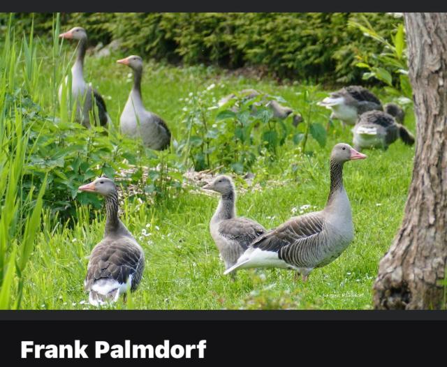 Gnaden- Und Ferienhof Saale Wittgenstein In The Middle Of Gar Nix Bismark エクステリア 写真