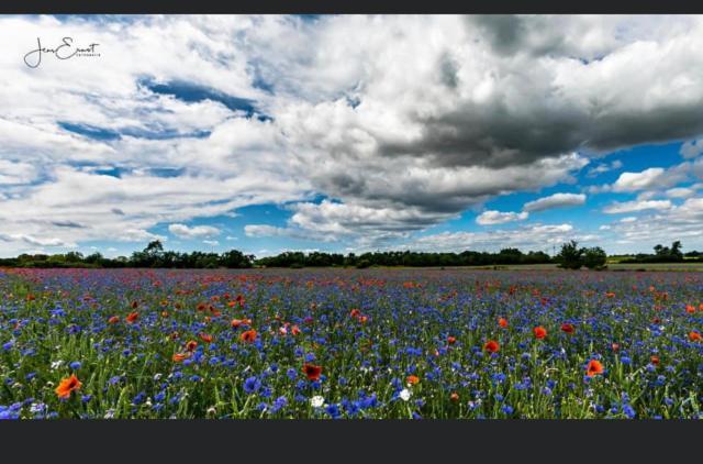Gnaden- Und Ferienhof Saale Wittgenstein In The Middle Of Gar Nix Bismark エクステリア 写真