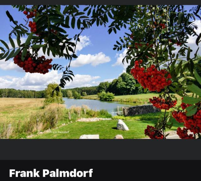 Gnaden- Und Ferienhof Saale Wittgenstein In The Middle Of Gar Nix Bismark エクステリア 写真